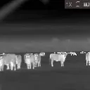 agm-asp-micro-tm-160-thermal-camera (4).webp