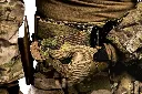 frog-pro-cobra-operator-belt-20-multicam (5).webp
