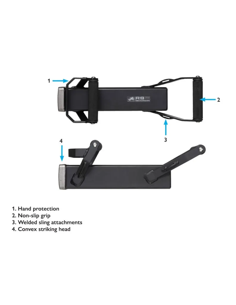 mini-belier-miniram-r9 (3).webp