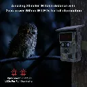 720133-5-8b46.webp