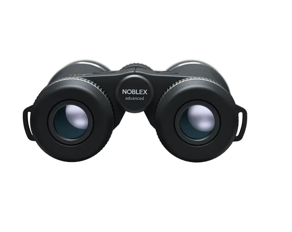 Capture d’écran 2026-02-12 à 13.52.57.webp